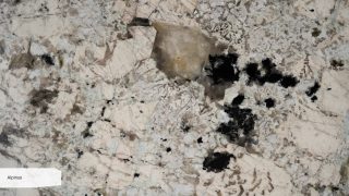 Alpinus